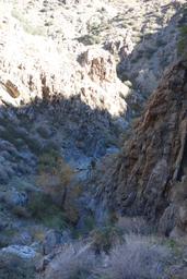 The creek below the drop [sun nov 21 10:34:33 mst 2021]